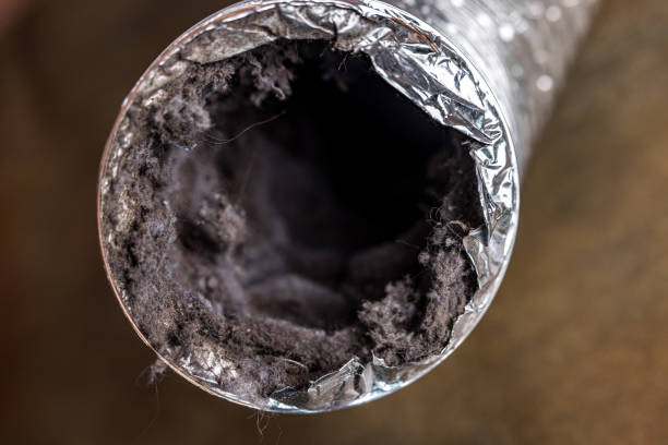 Best Affordable Air Duct Cleaning  in Little Chute, WI